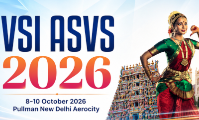 VSI-ASVS 2026