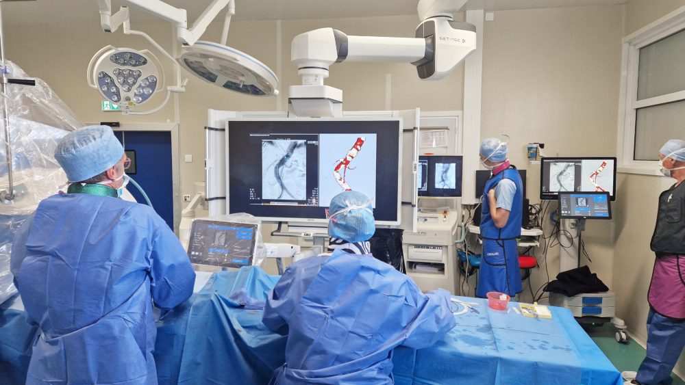 EndoNaut hybrid integration in operating room.