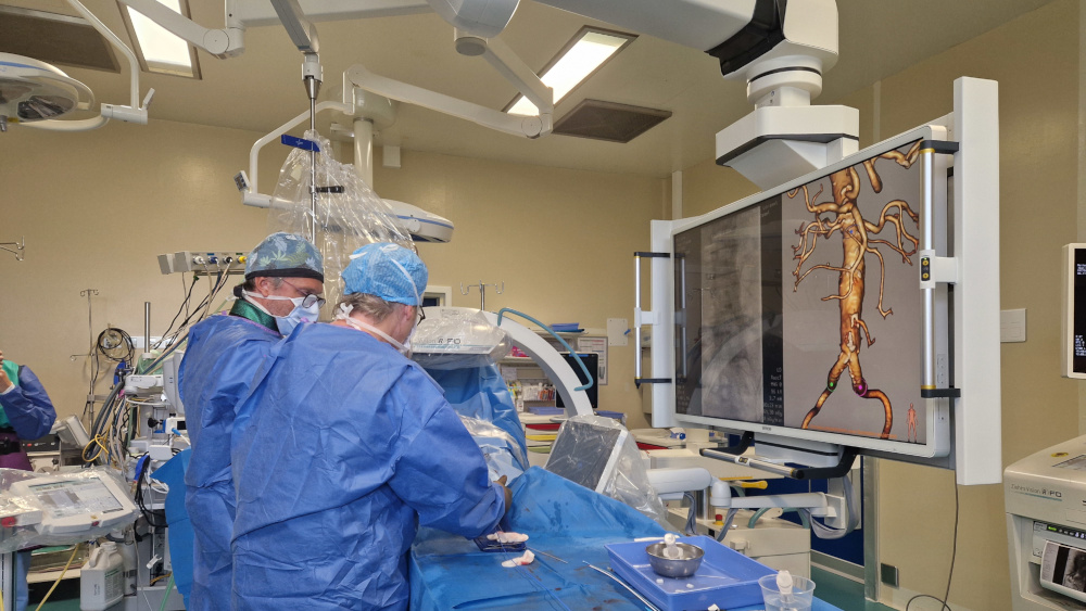 EndoNaut hybrid setting in operating room.
