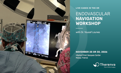 Endovascular Navigation Workshop